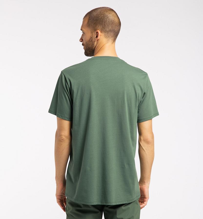 Haglöfs Mens Camp T-Shirt Dark Green New Zealand 24098HQJR